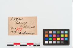 Etiketten zu Bernsteinringperle (NHMW-PRAE-024940)